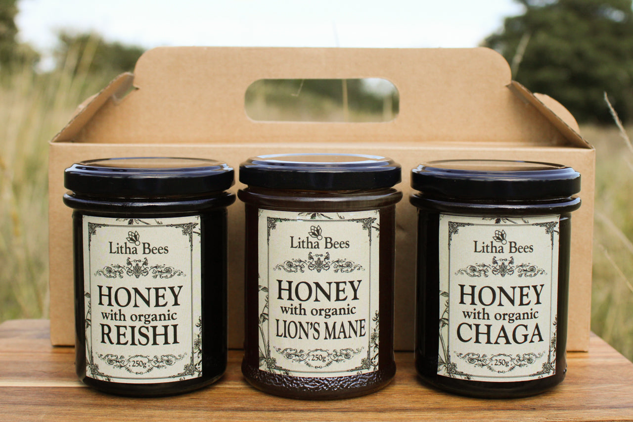 Gift Set of 3 Mushroom Honeys