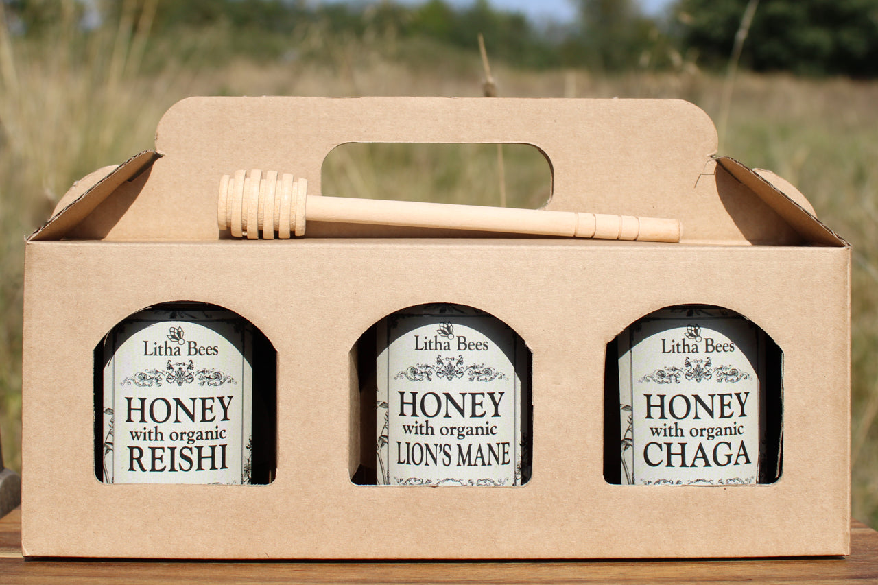 Gift Set of 3 Mushroom Honeys