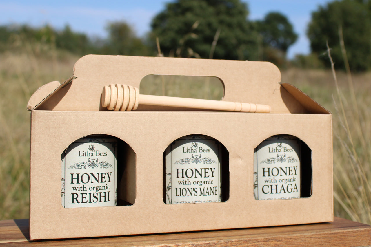 Gift Set of 3 Mushroom Honeys