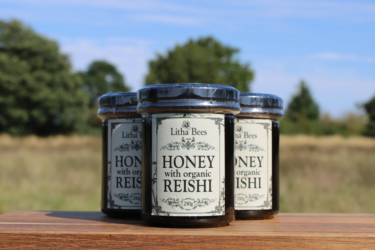 British Honey Infused with Organic Reishi Mushroom, 250g