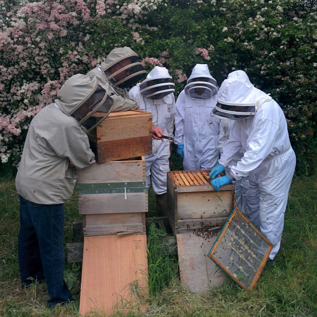 People in beekeeping suits working with beehives in an outdoor setting.